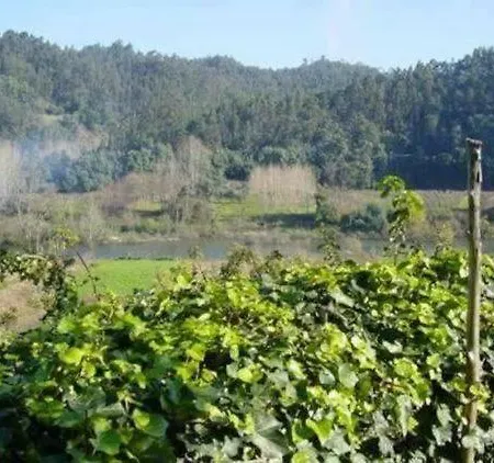 乡村民宿 Mondego River House