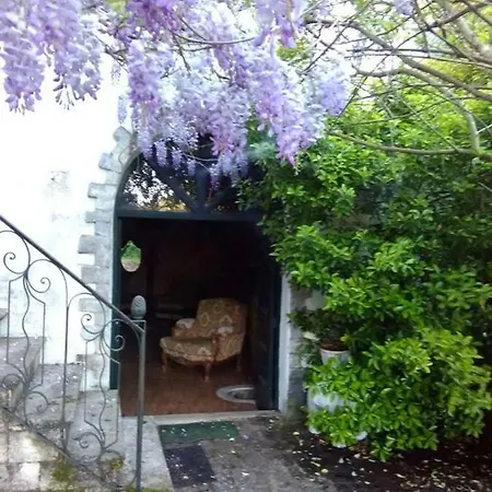 Mondego River House * 佩纳科瓦