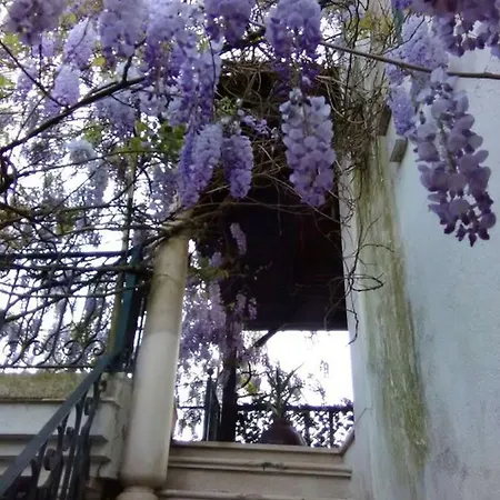 Mondego River House 乡村民宿