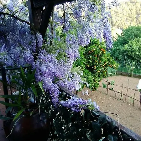 Mondego River House